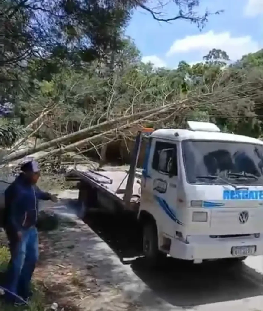 Arvores caidas pela ventania são retiradas por caminhões guinchos