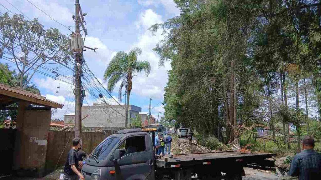 Guincho em Embu das Artes remove arvore caida após ventania